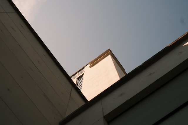 Photograph 1 by Frans Leys